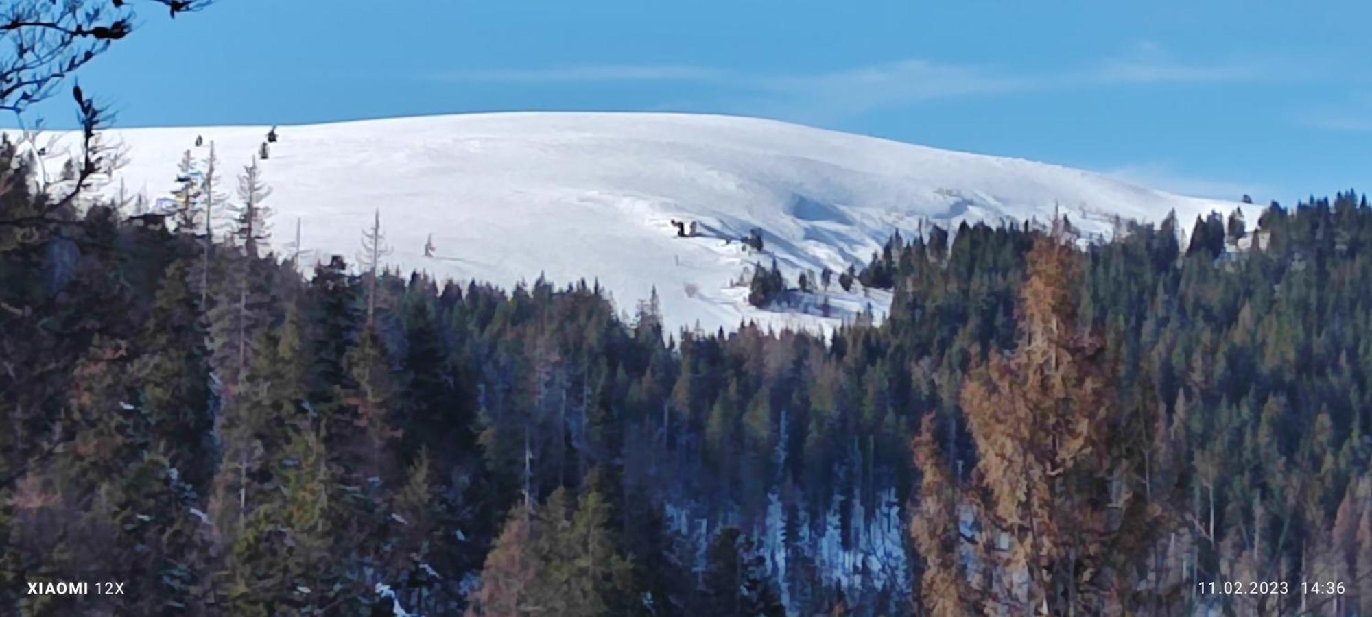 Schicke Ferien Wohnung Mit Tollem Ausblick In Schwarzwald. Villingen-Schwenningen Ngoại thất bức ảnh